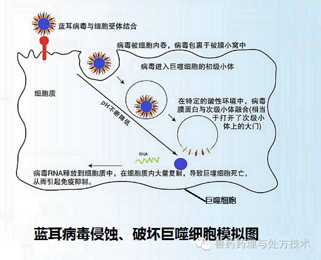 微信图片_36.jpg