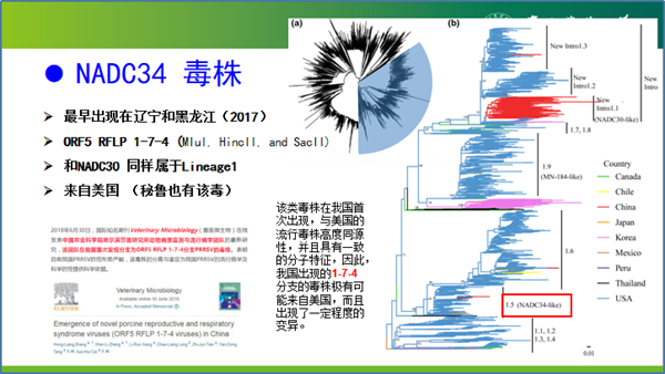 微信图片_35.jpg