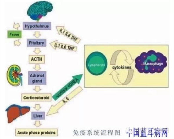 微信图片_52.jpg